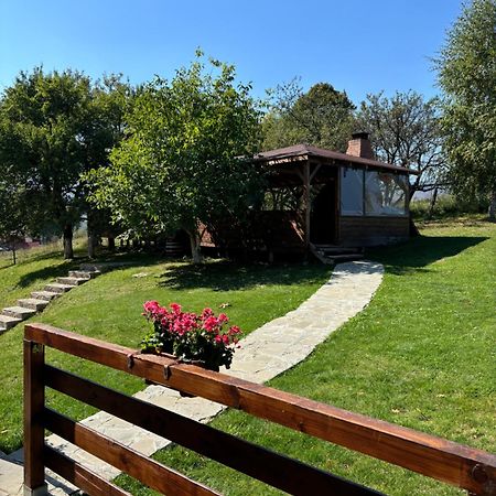 Transylvanian House Drumu Carului Buitenkant foto