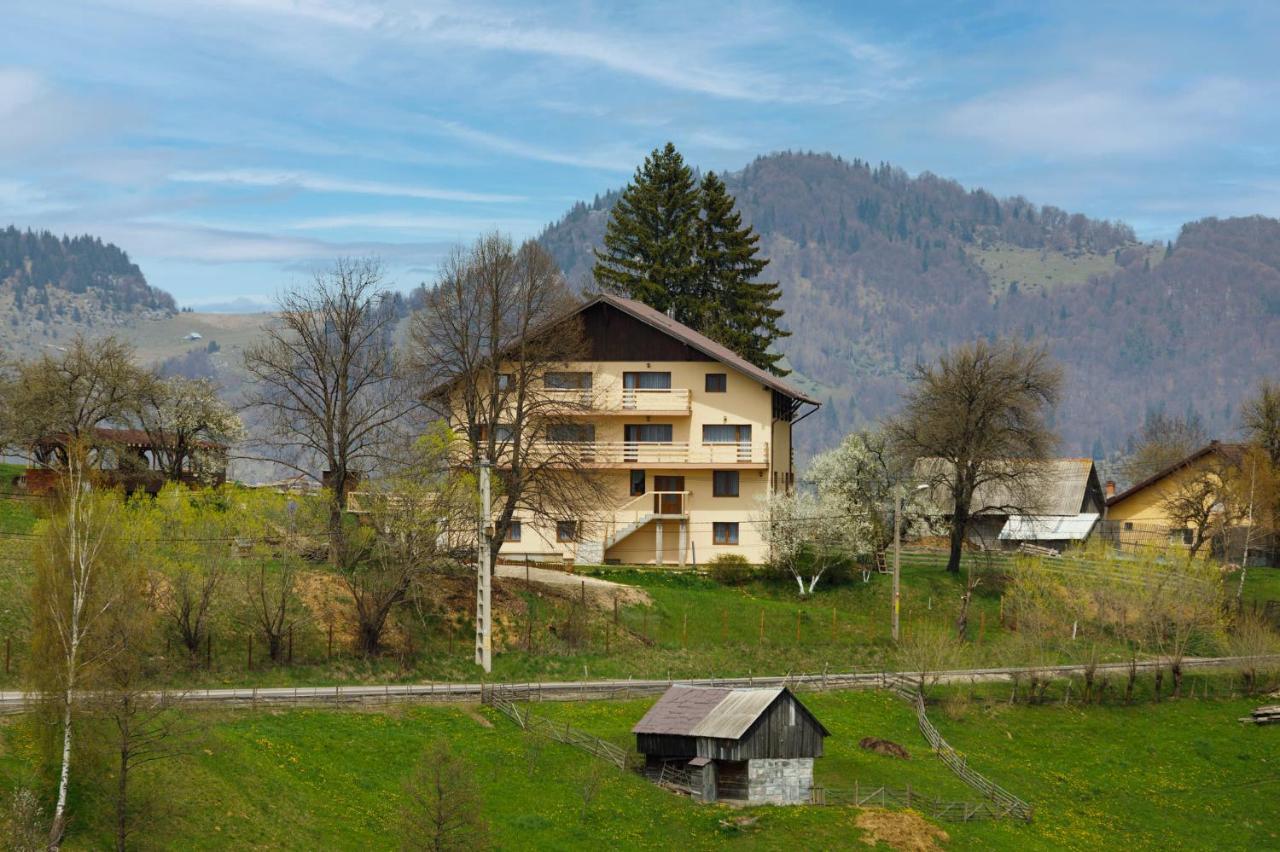 Transylvanian House Drumu Carului Buitenkant foto